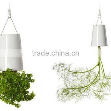 Creative Flower Pot Plastice Sky Planter Mini Sky Garden Hang Suspended Decorative Sky Planter New design Indoor Sky Planter