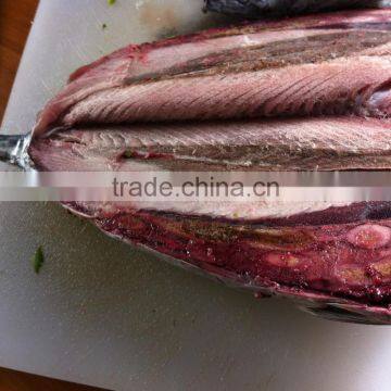 Frozen Eastern Pacific Bonito Whole Round- Auxis Tapeionsoma photo-2