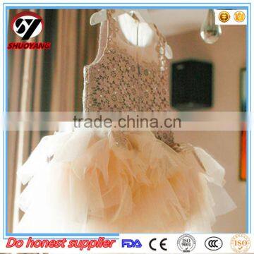 Wholesale 2 3 4 5 6 7 Year Old Girl Dress 2017 Baby Girl Party Dress Children Frocks Designs photo-3