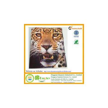 A4 File Folder With Elastic Band photo-2