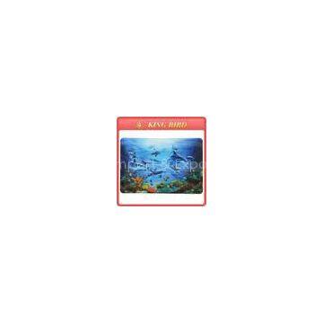 3D Lenticular Plastic Place Mat PVC Coaster with Ocean Style