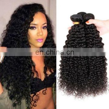 2017 hot sale kinky curly indian hair original indian human hair 100% human virgin woman long hair sex