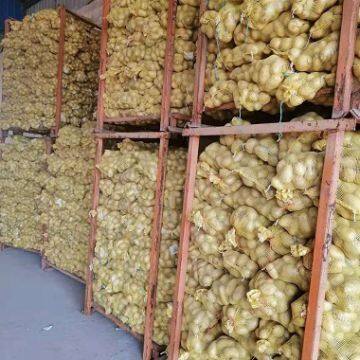 Qingdao Kun Jia Yuan Food Co.,Ltd.