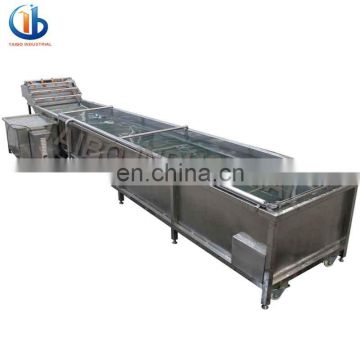 vegetable and fruit washing machine industrial washer type food machine