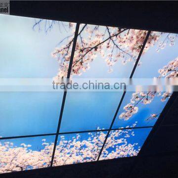 Japanese Style Sakura Sky Ceiling Panel Light photo-5