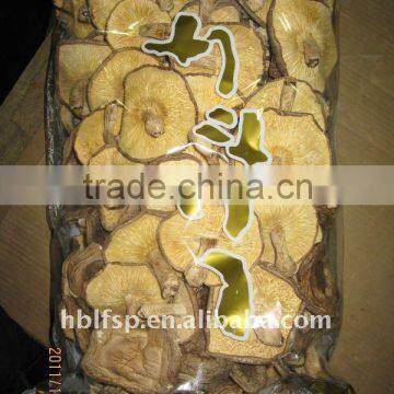Shiitake Mushroom Cultivation photo-4