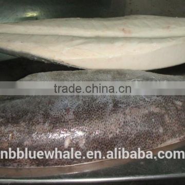 Frozen Oilfish fillets new arrive