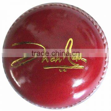 Training Cricket Ball Attractive Best Quality