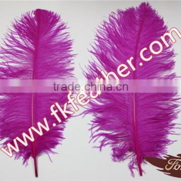 Large Ostrich Feather Craft Ostrich Feather Wedding Centerpiece Ostrich Feather Fan Halloween Decoration