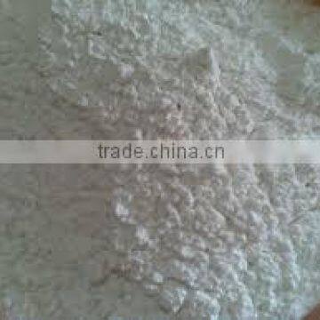 Arrowroot Powder photo-4