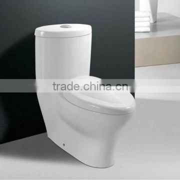 Ceramic Washdown One-piece Toilet