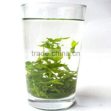 Hot Selling New Harvest Xiao ye ku Ding Cha China Slimming Herb Small Leaf Kuding Green Tea photo-4