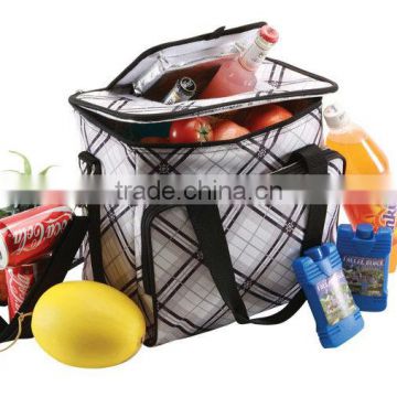 bag for picnic