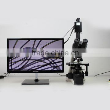 Hottest selling!!! MSL-PH100-4 40x-1600x Binocular Biological Microscope/Binocular Microscope Price