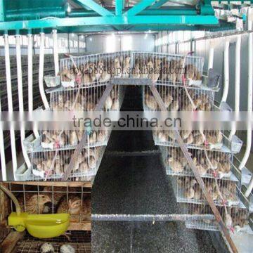 Q235 galvanized stainless steel quail wire cage