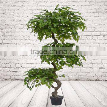 Artistic Artificial Ficus Tree Plastic Ficus Benjamina For Gallery