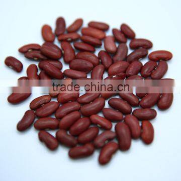 Dark Red Kidney Beans photo-4