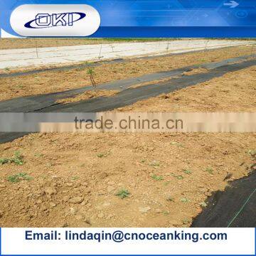 Weed control mat