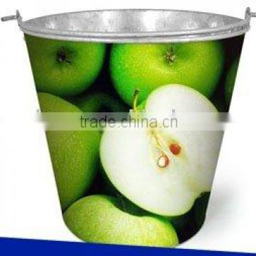 fruit pattern good quality gardening bucket