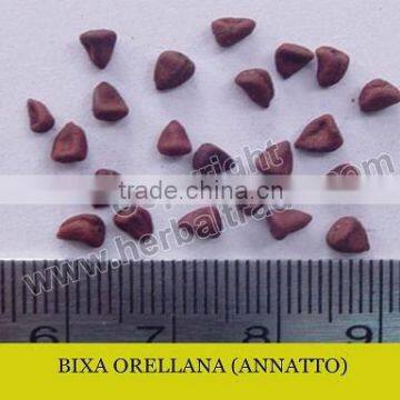 ANNATTO SEEDS