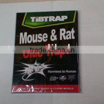 mouse glue traps