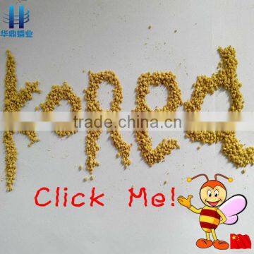 2013 Hot Sale Natural Bee Pollen from Rape Flower Korea