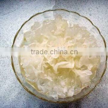 Tremella fuciformis Extract,polysaccharides,Pharmaceutical stuff