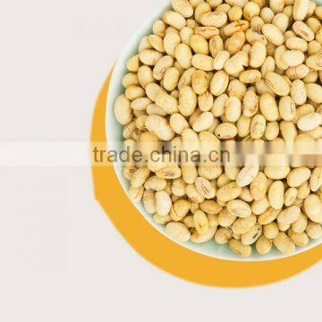 Salted Flavor Roasted Beans