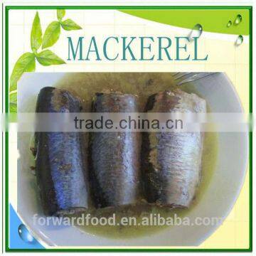 Horse mackerel canned in vegetable oil and mackerel in brine