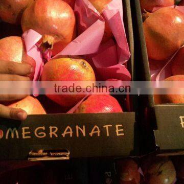 Fresh Egyptian Pomegranate crops 2015