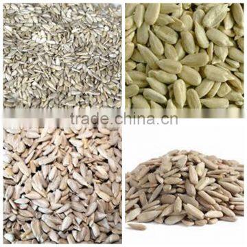 sunflower kernels manufacturer reasonable prices edible kernels