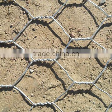 cheap mesh wire/hexagonal wire mesh/pvc coated wire mesh