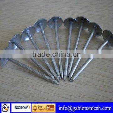 China professional manufacturer umbrella head roofing nails