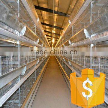 H type layer chicken cage for poultry farm