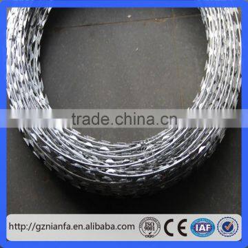 450mm 3 Clips BTO 22 Galvanized Razor Barbed Wire to Philippines(Guangzhou Factory) photo-2