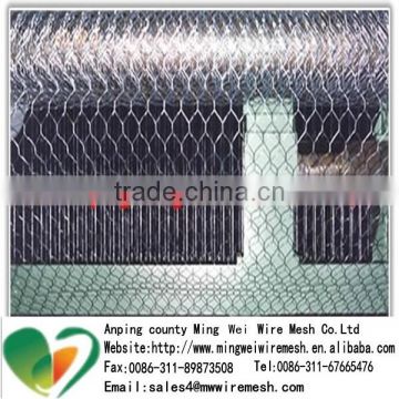 Hexagonal Wire Mesh/Chicken Wire Mesh Home Depot with high quality