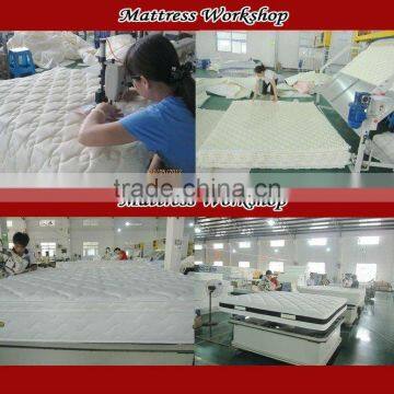 Roll Packing Sofa Pocket Spring Unit photo-2