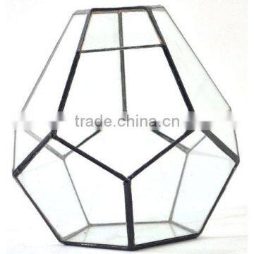 Stretched Dodecahedron 3 Sizes Geometric Fruit Glass Terrarium photo-4