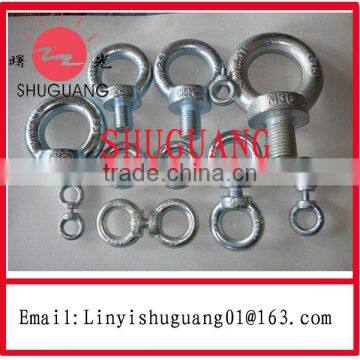 Superior Quality Hot Dip Galvanized Din580 Eye Bolt
