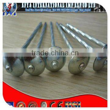 BWG 10 Umbrella head roofing nails