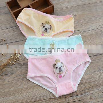 Women Lady Underwear Sexy Cute Panty Young Girl Cute Cotton cartoon panties Briefs