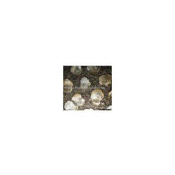 Shell Mosaic Tiles / Shell Panel / Decorative Wall Cladding