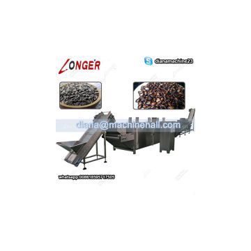 Sunflower Seeds Roaster Machine|Melon Seeds Roasting Equipment Line