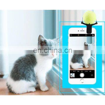 New Design Dog Cat Pet Selfie Stick Rod Dog Cat Take Photos Training Toy Flower Phone Clip Selfie Clip photo-4