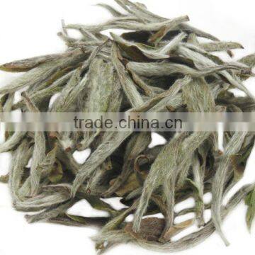 White Peony White Peony King photo-4