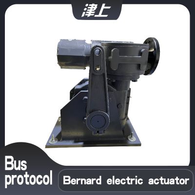 Intelligent electric actuator B+RS250/K28H partial rotary electric actuator