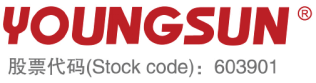 Foshan Youngsun Intelligent Equipment Co., Ltd