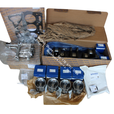 4111A505 Genuine Perkins Camshaft Assembly for 700 Engines