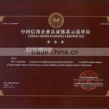 CHINA CREDIT EXAMPLE CERTIFICATE