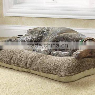 Dog Training Mat